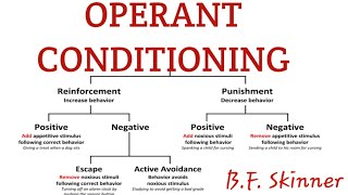 Operant conditioning in learning psychology [upl. by Alliscirp]