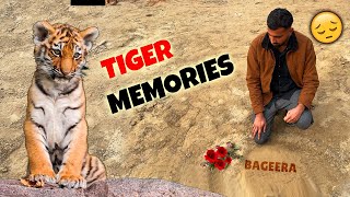 Memories Of Our BageeraTIGER [upl. by Ennobe456]