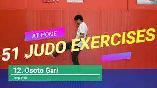 51 Judo ExercisesDrills You Can Do At Home [upl. by Annairda]