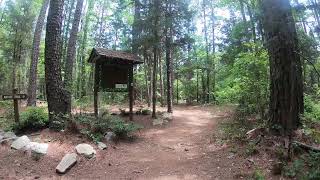 20 Minute Virtual Treadmill Walk  Andrew Jackson State Park [upl. by Zachary]