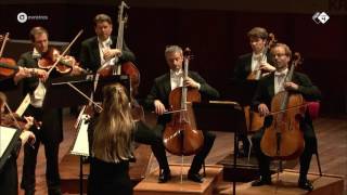 Elgar Serenade for Strings  Concertgebouw Chamber Orchestra  Live concert HD [upl. by Onileva71]