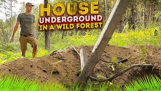 Building Dugout Shelter in a wild forest Build LOG CABIN Bushcraft PART 1 [upl. by Alessandro]