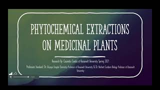 Phytochemical Extraction Methods Used On Medicinal Plants [upl. by Rye]