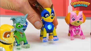 Paw Patrol Mighty Pups vs Romeo Wrong Color Video for Kids [upl. by Kulsrud767]