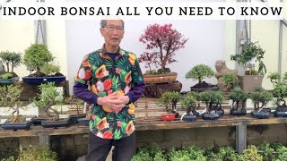 Indoor Bonsai All You Need To Know [upl. by Flip]