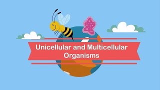 Unicellular and Multicellular Organisms [upl. by Trilly]