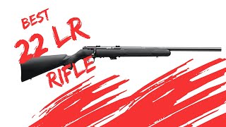 Savage Mark II 22 LR Review  Incredible Accuracy [upl. by Atworth]