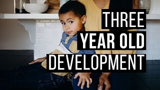 3 Year Old Development  Social Emotional Development [upl. by Viridissa]