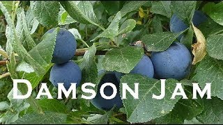 Damson Jam [upl. by Sochor]