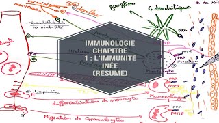 Immunologie chapitre 1  limmunite inée resume [upl. by Carilyn]