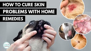 How To treat 5 Skin infection in dogs 🐕 with home remedies [upl. by Audwin]