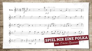 Spiel mir eine Polka von Erwin Zsaitsits [upl. by Eylrac]