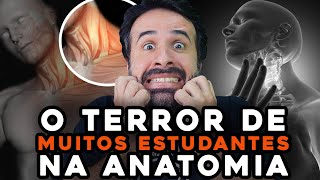 MÃšSCULOS DO PESCOÃ‡O O TERROR DE MUITOS ESTUDANTES NA ANATOMIA [upl. by Kenji42]