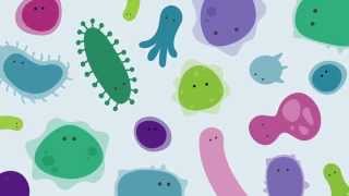 Introducing The Human Gut Microbiome [upl. by Tatia]