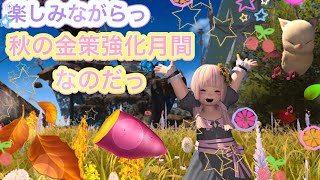 FF14 金策やりたいんだぁ。地図パーティ♪ [upl. by Morgana]