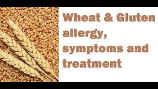 What is Wheat Allergy  गेहूं की एलर्जी क्या है  IN HINDI  हिंदी में [upl. by Kohsa]