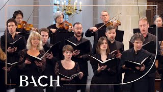 Bach  Motet Ich lasse dich nicht BWV anh 159  MacLeod  Netherlands Bach Society [upl. by Annuhsal292]