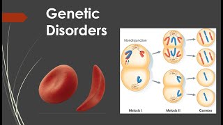 Genetic Disorders [upl. by Tavy572]