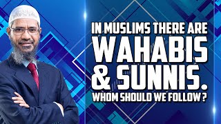 In Muslims there are Wahabis and Sunnis Whom Should we Follow  Dr Zakir Naik [upl. by Cornel]