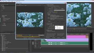 Premiere Pro  Comment exporter une vidéo [upl. by Ela]