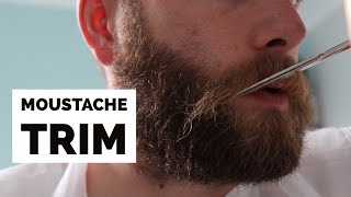 How to Trim a Moustache with Scissors [upl. by Brittnee]