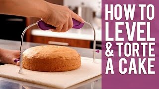 How to Level and Torte a Cake from Wilton [upl. by Farlie]