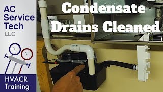 Condensate Drain Traps amp Lines Cleaned on AC and Gas Furnace [upl. by Ecidnak]