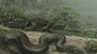 Titanoboa  The Worlds Largest Snake [upl. by Brandy368]