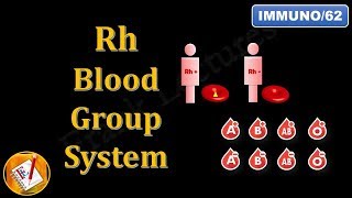 Rh Blood Group System FLImmuno62 [upl. by Adia]