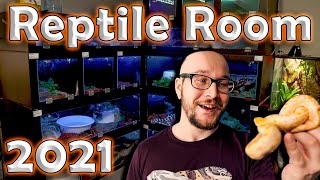 The NEW Reptile Room Tour 2021  Over 75 Reptiles and Their Enclosures [upl. by Baptist]