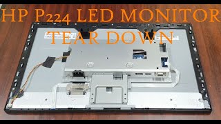 HP P224  LED Monitor Disassembly amp Tear Down [upl. by Morie539]