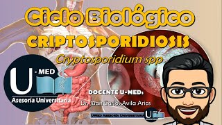 ✔CICLO BIOLÓGICO CRIPTOSPORIDIOSIS [upl. by Freud981]