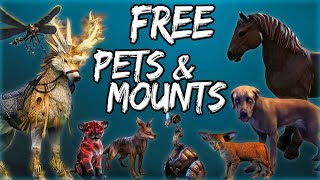 FREE PETS amp MOUNTS in Elder Scrolls Online ESO Guide [upl. by Laszlo]