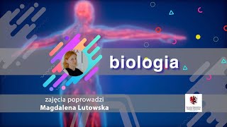 Biologia  LO  matura Techniki i narzędzia inżynierii genetycznej [upl. by Ariad515]