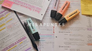 Cómo hago mis apuntes  Métodos de estudio [upl. by Ettennaej]