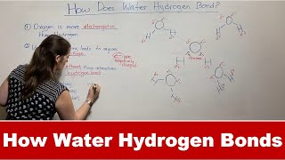 How Water Forms Hydrogen Bonds [upl. by Dnomzed161]