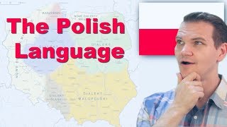 The Polish Language Is this real [upl. by Linda746]