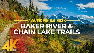 4K Virtual Hike Near River through the Forest  Baker River Trail amp Chain Lake Trail [upl. by Sarette]