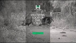 Mastering Locator Owl Calls [upl. by Delly]