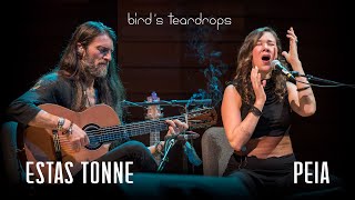 Birds Teardrops  Estas Tonne feat Peia  Ashland Oregon 2018 [upl. by Tracy]