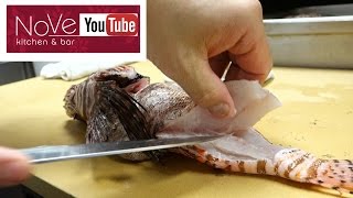 VENOMOUS Lionfish Sashimi  How To Make Sushi Series [upl. by Meer326]