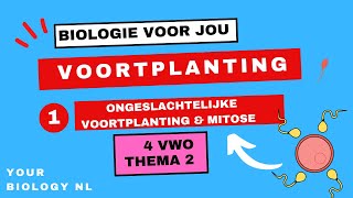 4 vwo  Voortplanting  1  Ongeslachtelijke voortplanting amp mitose [upl. by Eadrahc]