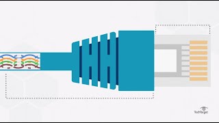 What is Ethernet Ethernet vs WiFi [upl. by Damour760]