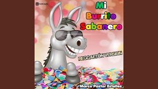 Mi Burrito Sabanero Reggeton Mix [upl. by Gisella]