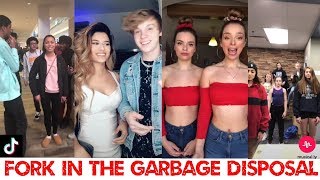 Fork in the garbage disposal Challenge on Tiktok Musically [upl. by Ehrenberg]