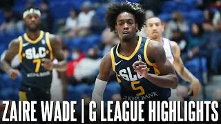 Zaire Wade G League Highlights ᴴᴰ [upl. by Pliner552]