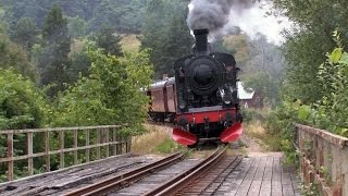 Steam trains in Sweden 2008 [upl. by Minsk]