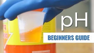 A Beginners Guide pH in Hydroponics [upl. by Letti]