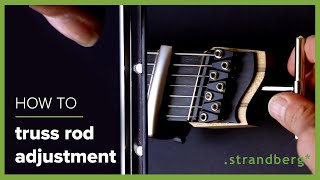 Truss Rod Adjustment [upl. by Llevra560]