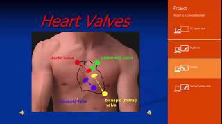 Echo Assessment of Valvular Heart Diseases Dr Sameh Samir [upl. by Thomasina]